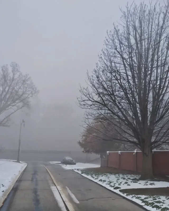December's foggy freeze - Free AI Photo Generator - starryai
