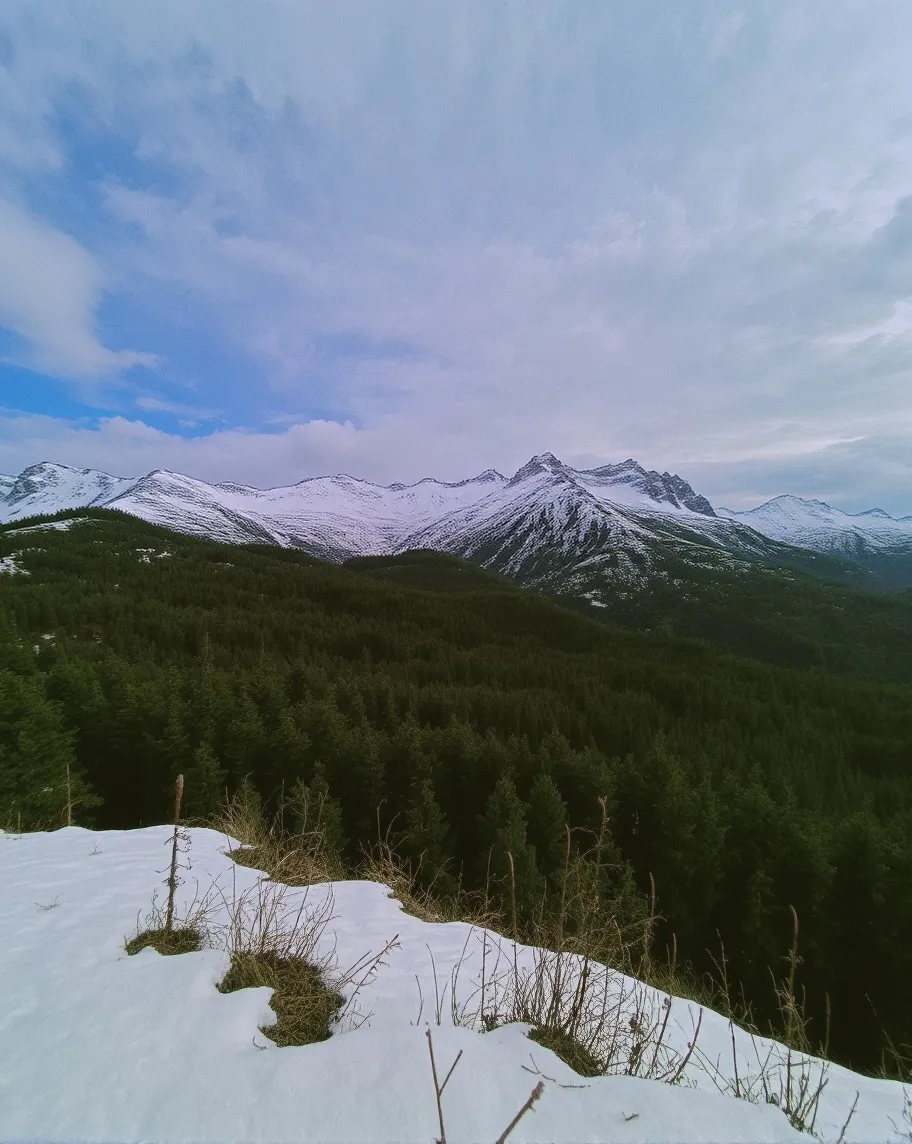 Snowy mountains - Free AI Photo Generator - starryai