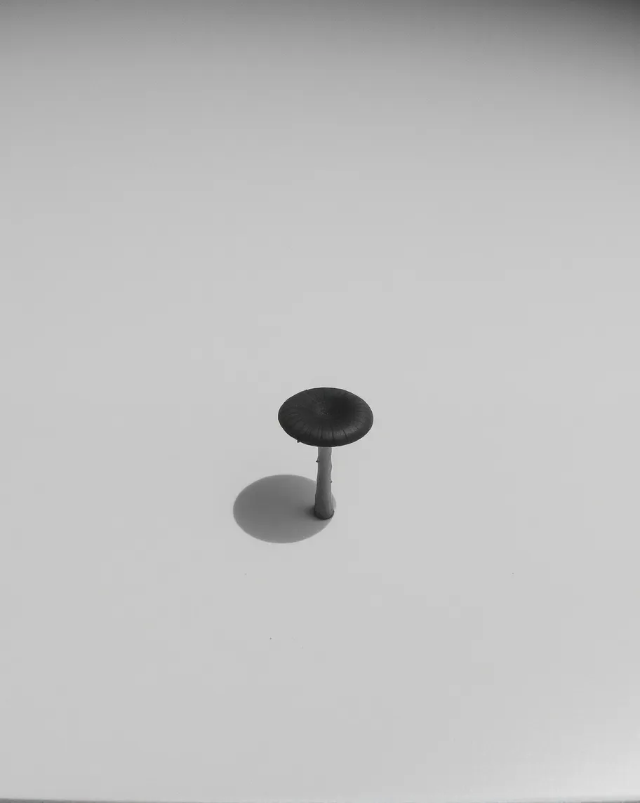 og-1056709751-4 - original